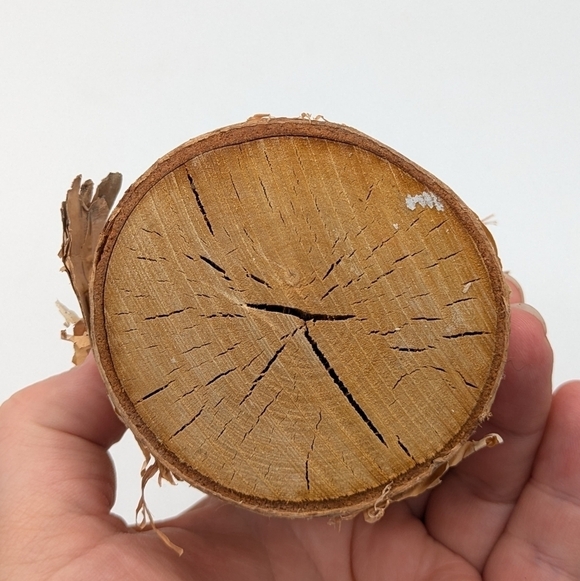 Handmade fused glass Christmas tree cardinal on birch - Picture 6 of 8